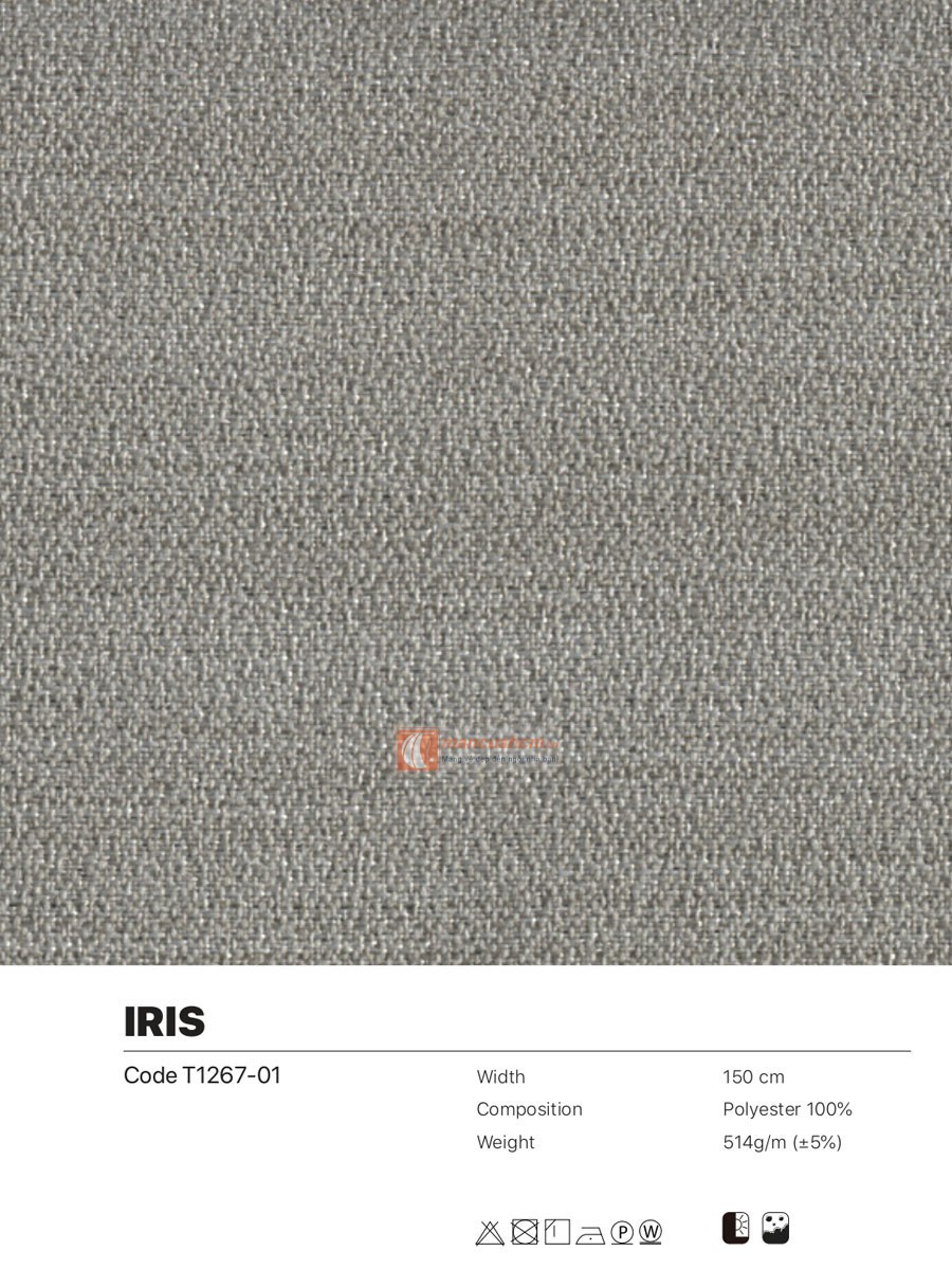 iris01