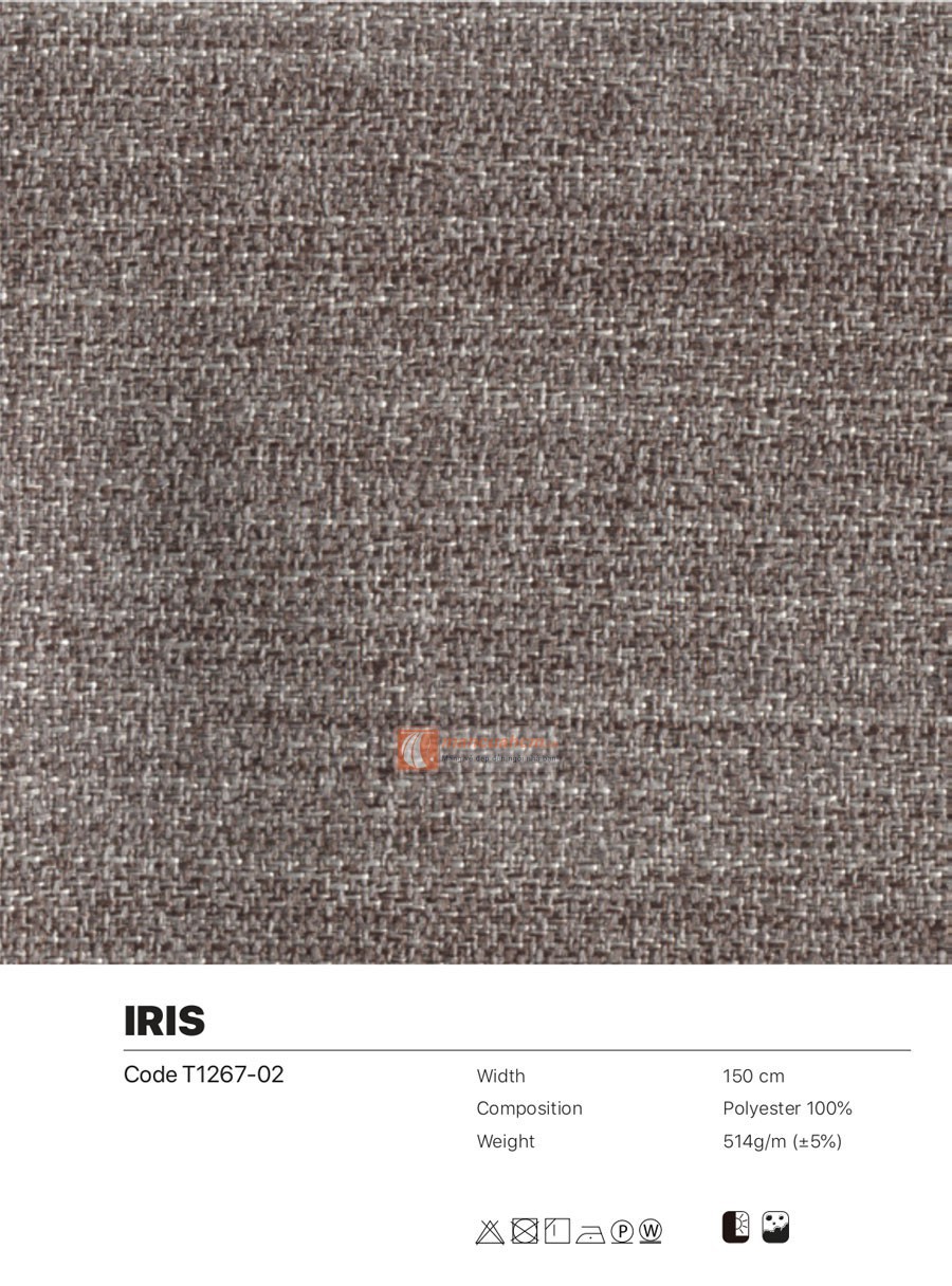 iris02