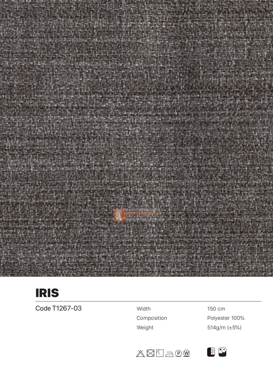 iris03