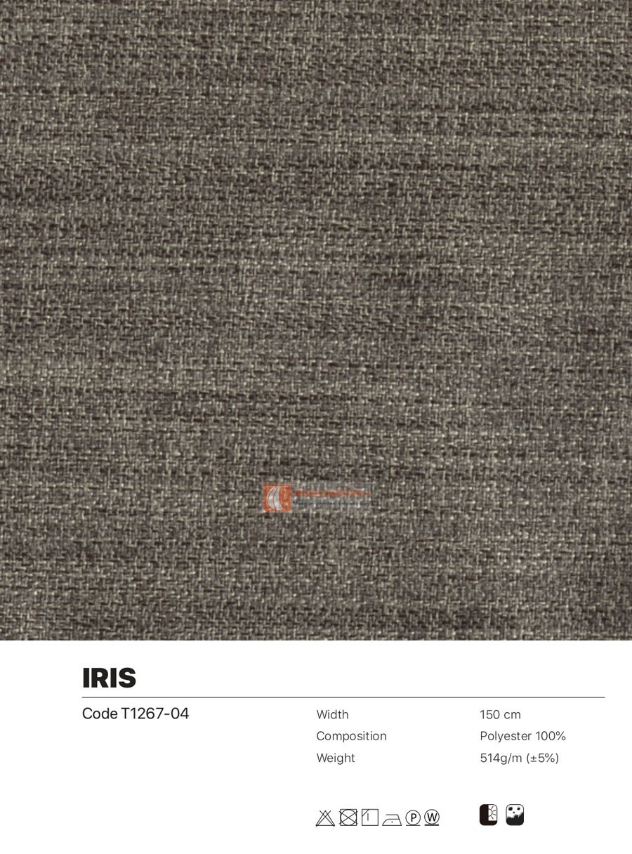 iris04