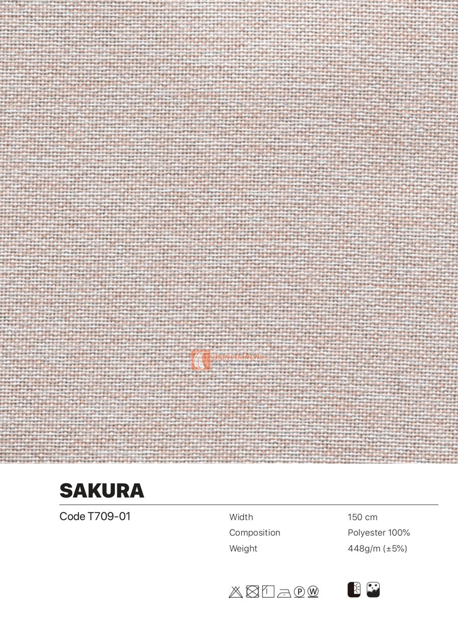 sakura01