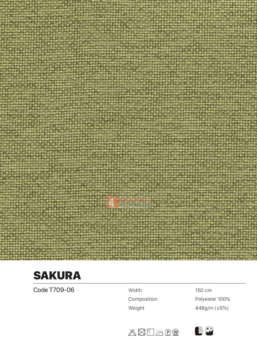 sakura06