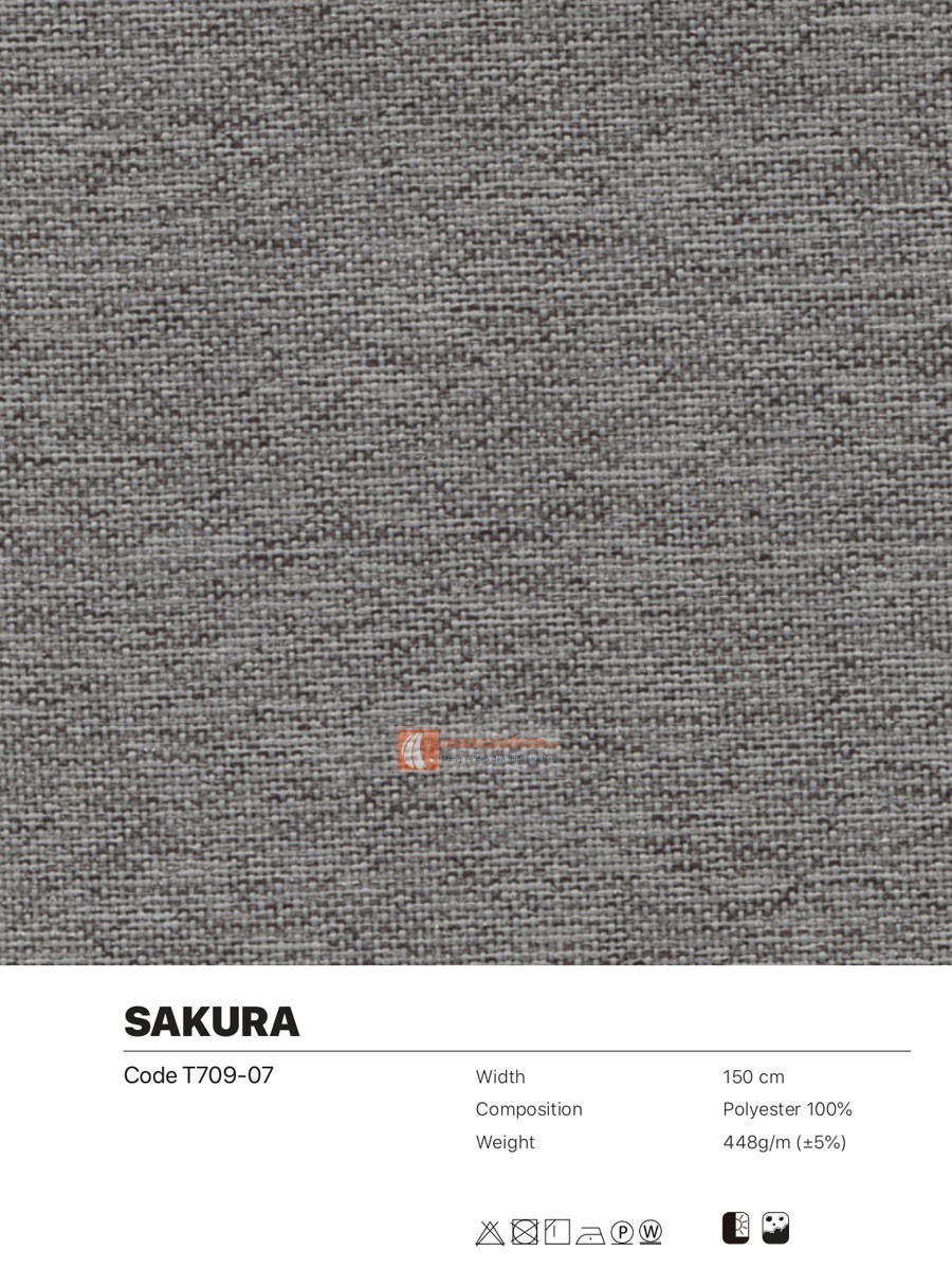 sakura07