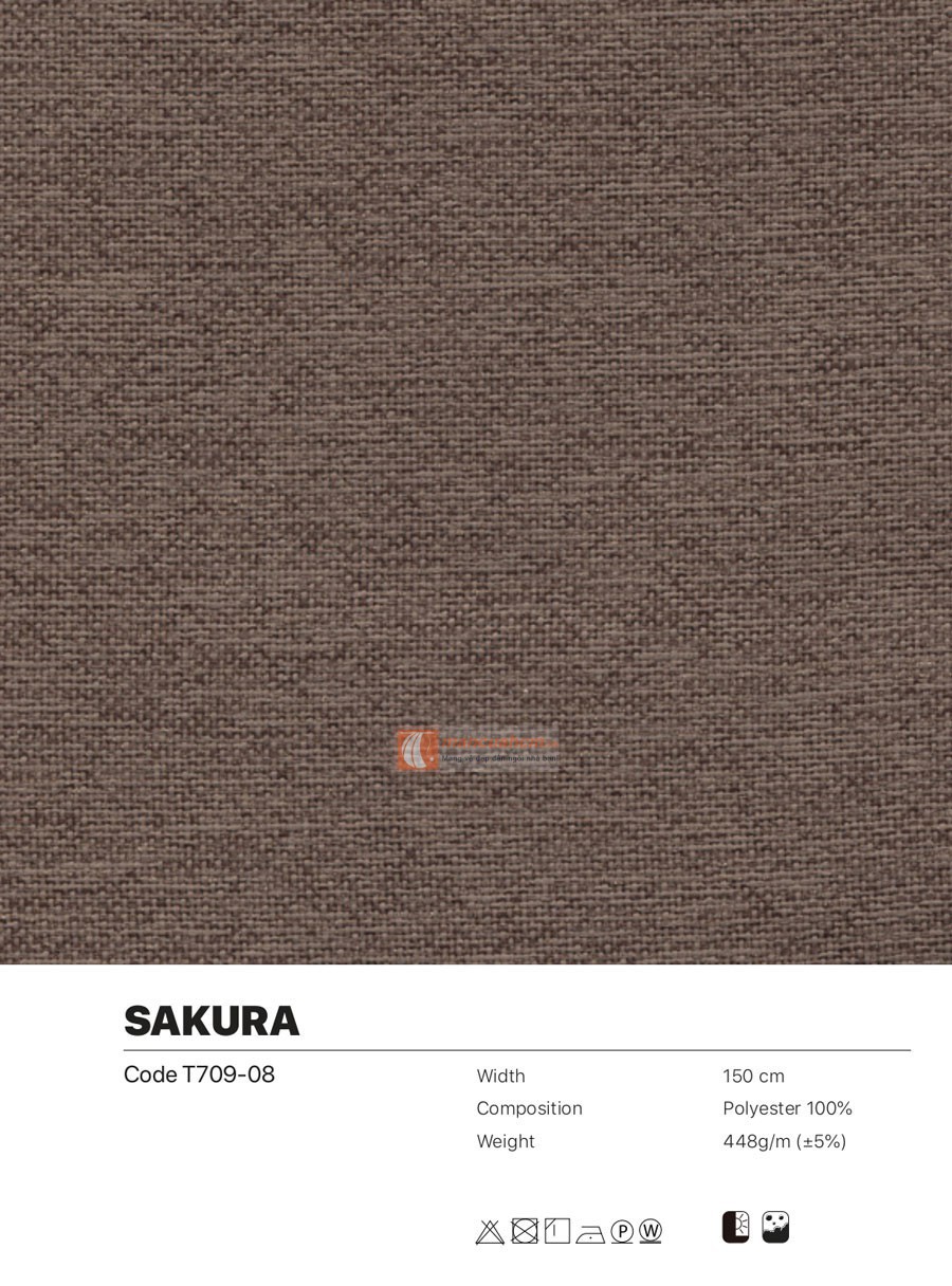 sakura08