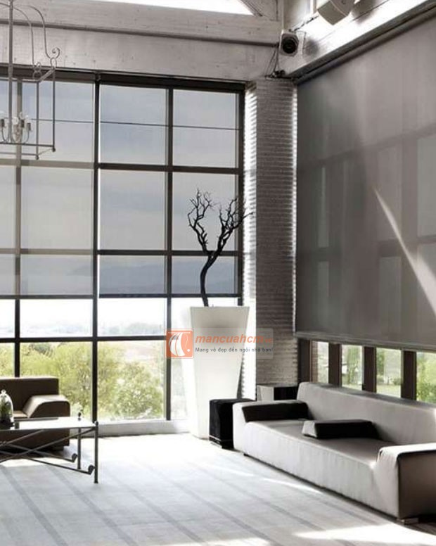 rem-cuon-star-blinds-01-1